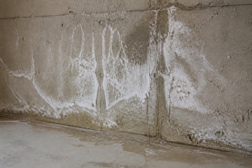 Close-up of basement concrete foundation wall showing white efflorescence mineral deposits and water staining patterns in natural daylight