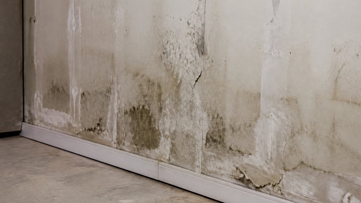 Close-up of basement wall showing water stains, mold discoloration, and poor drywall finishing with visible cracks and uneven surface texture under overhead lighting