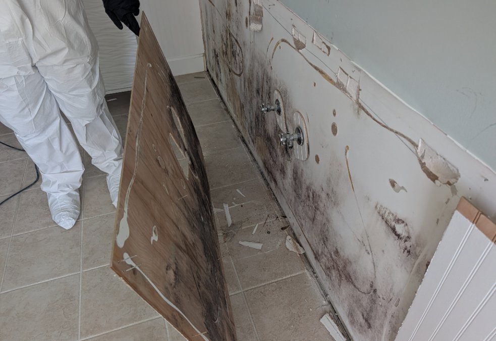 Active mold remediation with a JLX technician removing mold-affected wall material inside a residential property. Visible mold growth is present on the removed material and wall area.