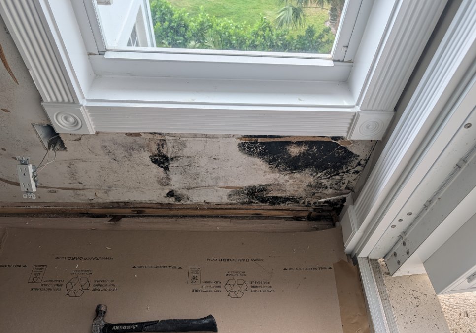Visible mold growth and moisture damage discovered below a window during a residential mold remediation project.