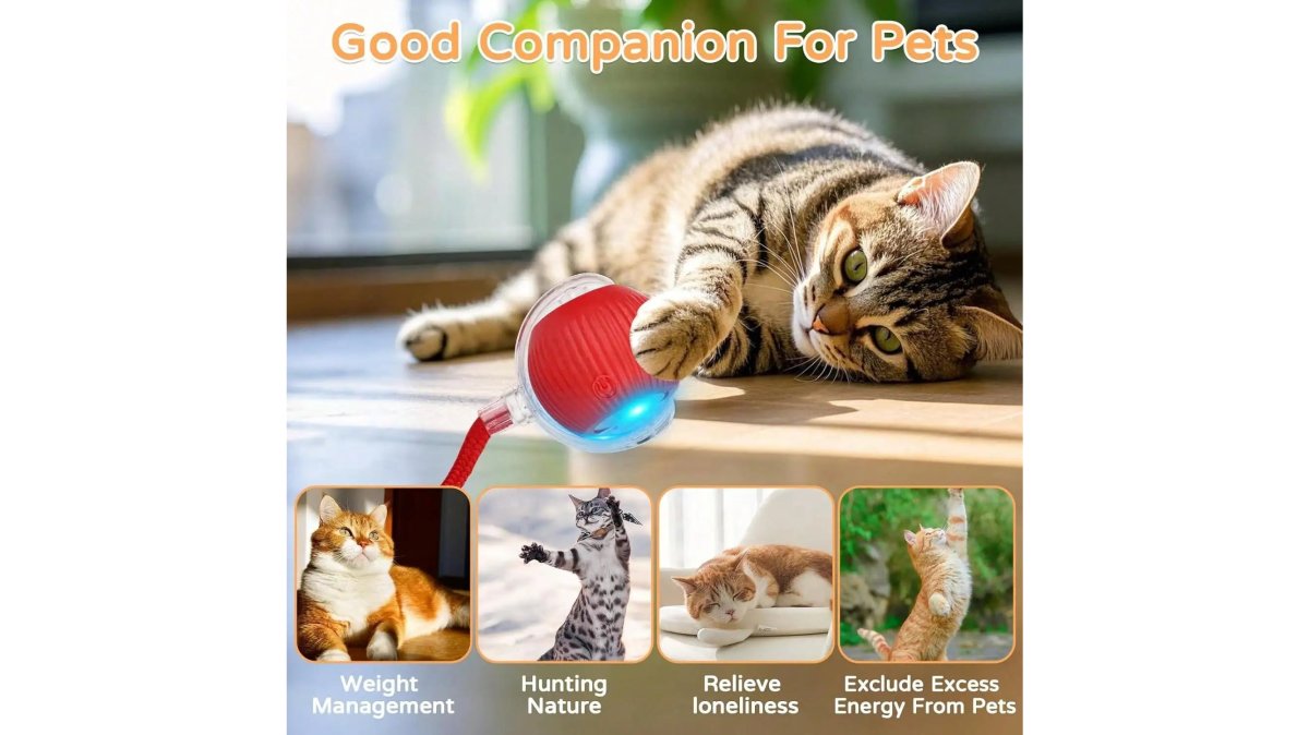 1 Piece USB Rechargeable Interactive Toy Ball For Cats, Auto Electric Rolling Ball As Birthday Gift For Dogs/Cats, Auto Smart Chewable Toy With Tail, Unicolor Smart Ball Tied To Harness, Interactive Cat Ball Toy, Indoor Cat T