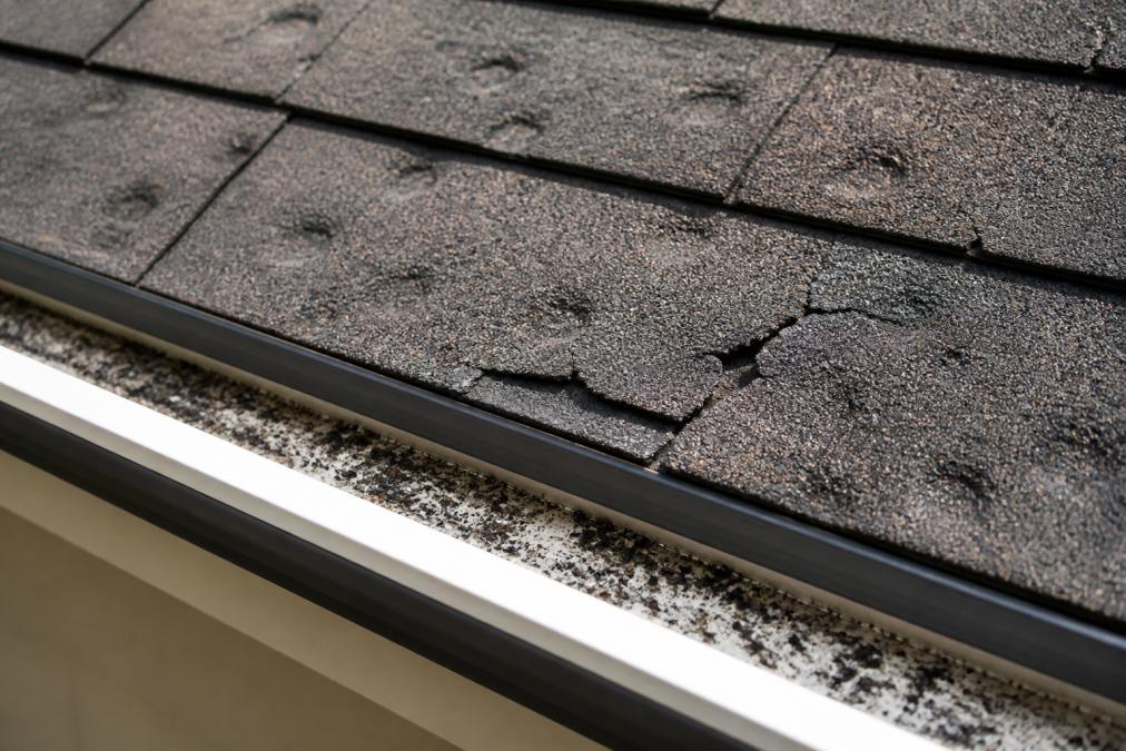 Infographic illustrating hail dents, cracked shingles, and granule loss as signs of roof storm damage.