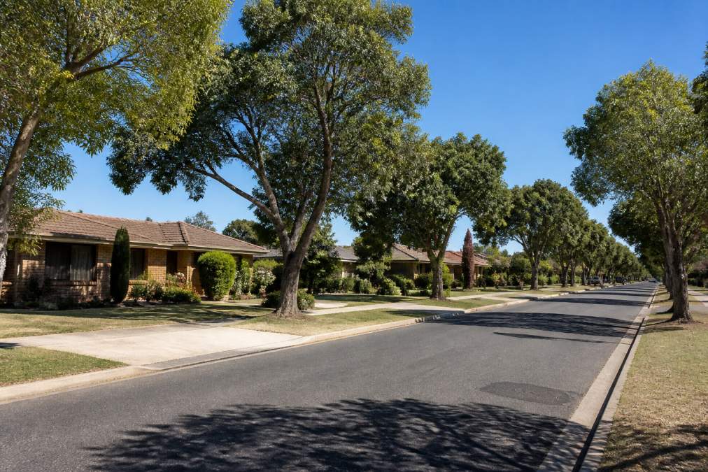 Quiet tree-lined street with established gardens near 11 Lizlee Drive Mildura under a clear blue sky