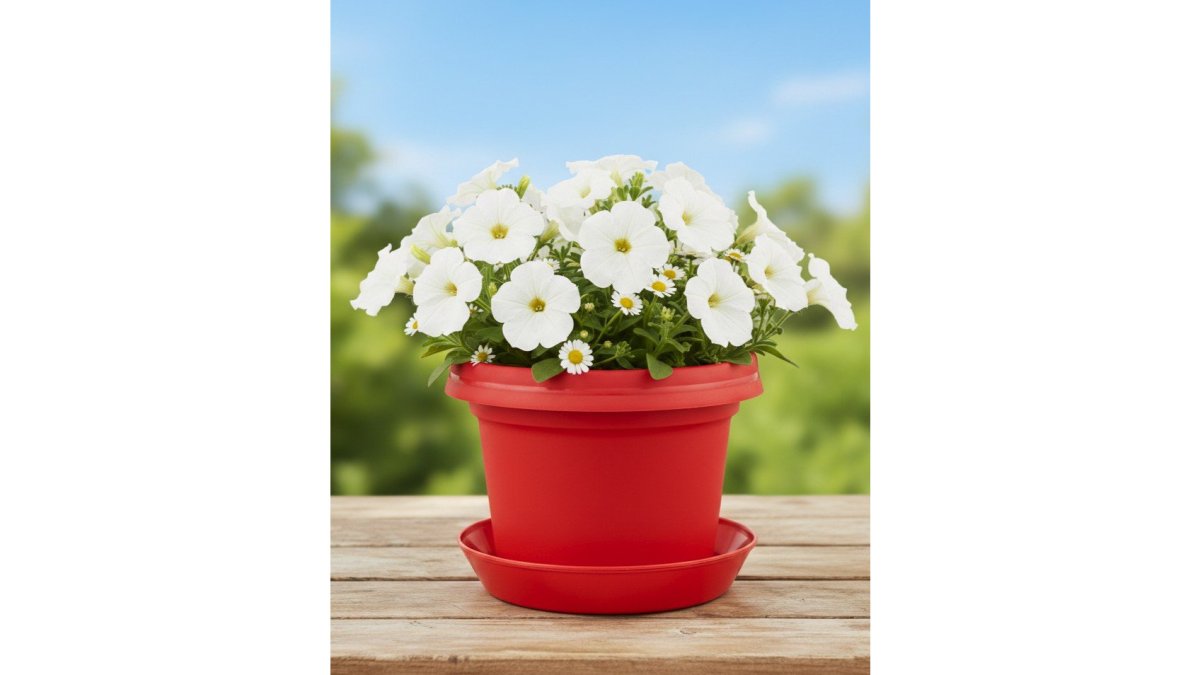 12 inch Red Pot with Saucer
