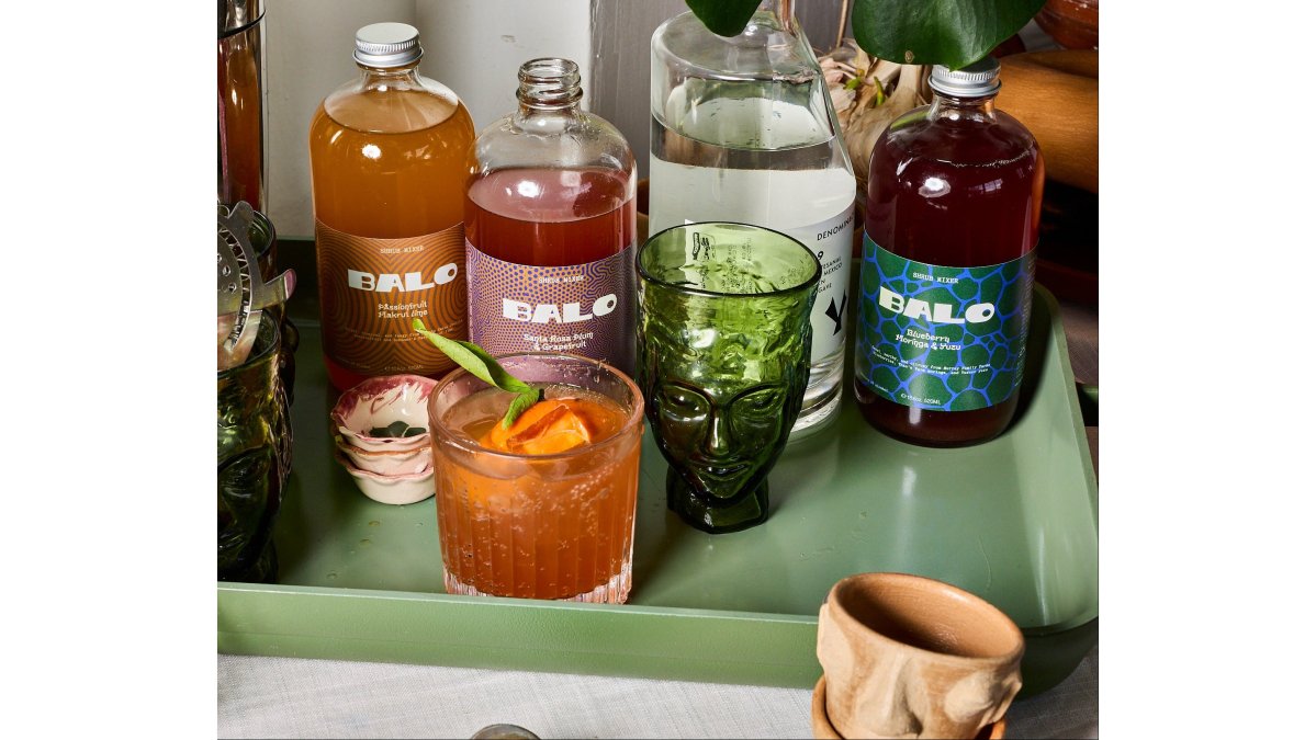 3- Pack Shrub mixer