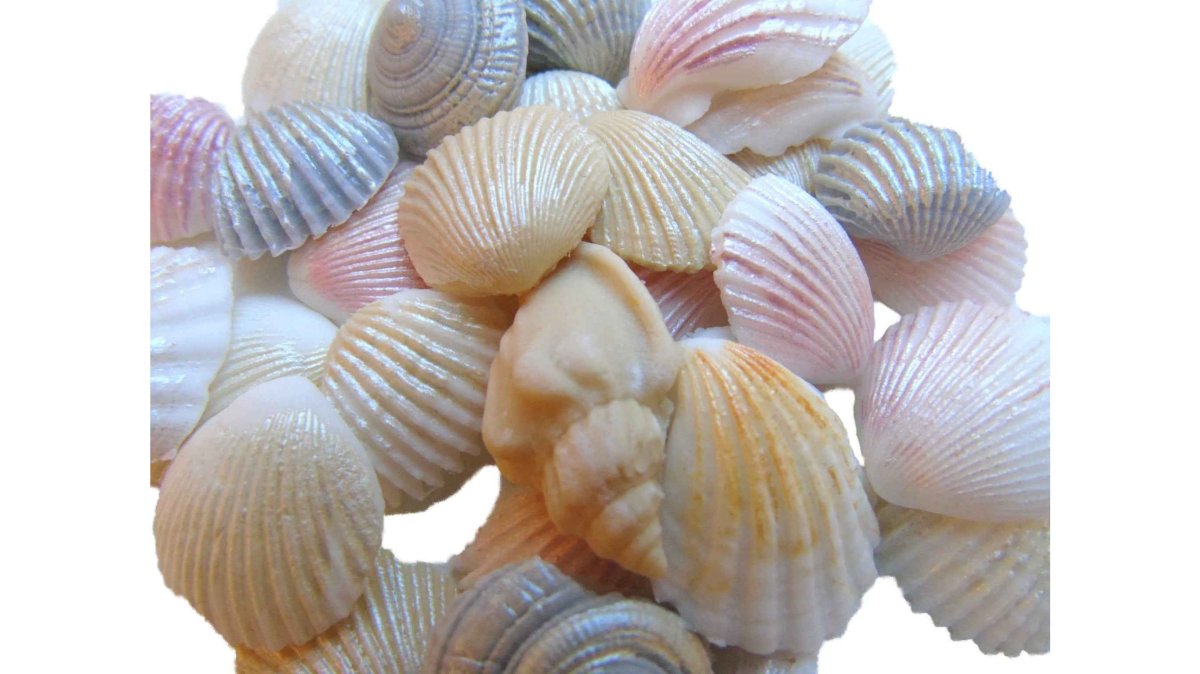 30 Coloured Glittered Edible Sea Shell Cupcake Decorations