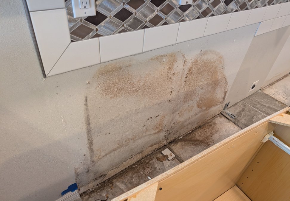 Visible mold growth discovered behind removed kitchen cabinetry during a residential JLX mold remediation project.
