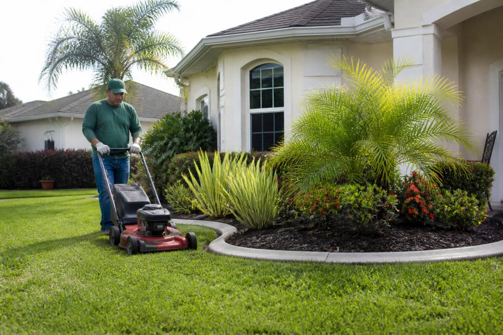 5 Affordable Landscaping Services in North Miami