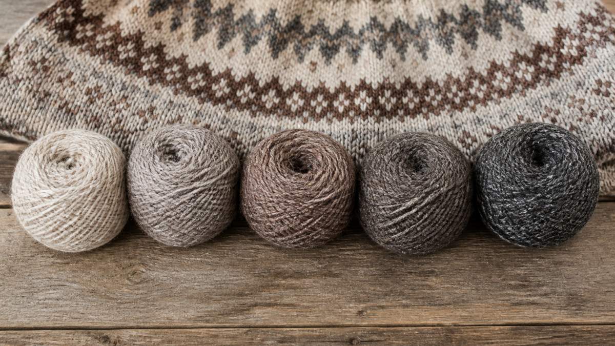 Flat lay of five different Shetland wool yarn balls in natural heathered colors arranged in a row on a wooden surface with a knitted swatch showing Fair Isle colorwork in the background