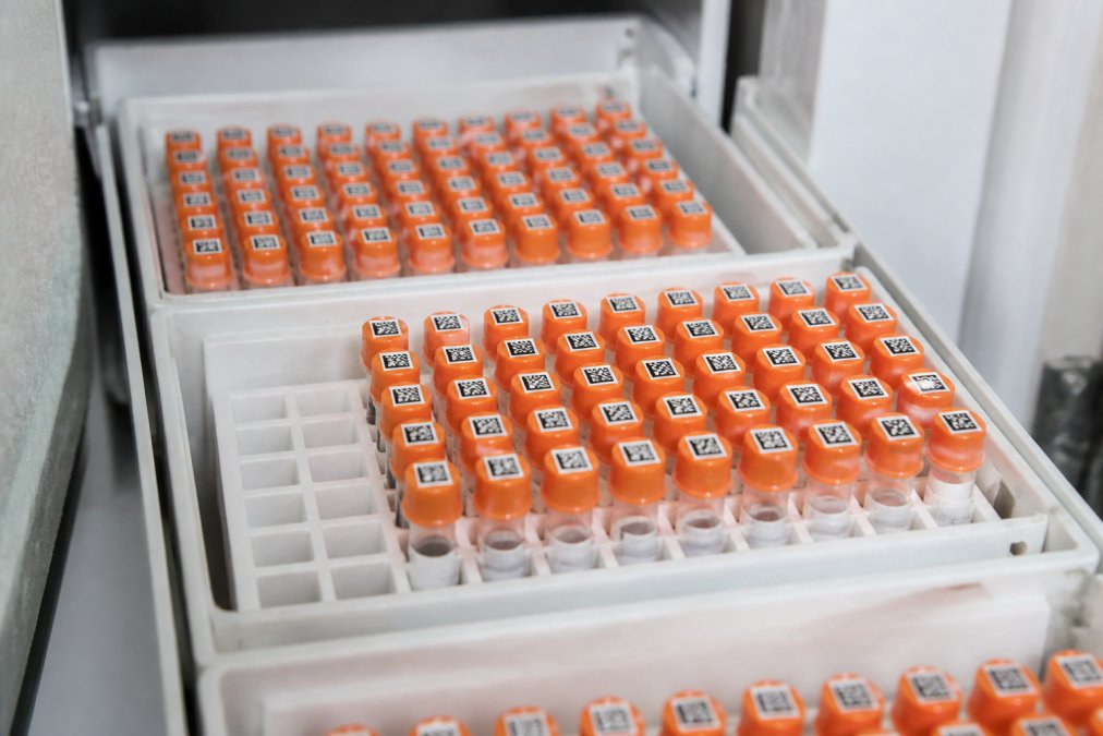 Organized cryogenic vials with 2D barcodes arranged in microplate format racks inside a laboratory freezer, showing precise vial spacing and clear barcode visibility under lab lighting