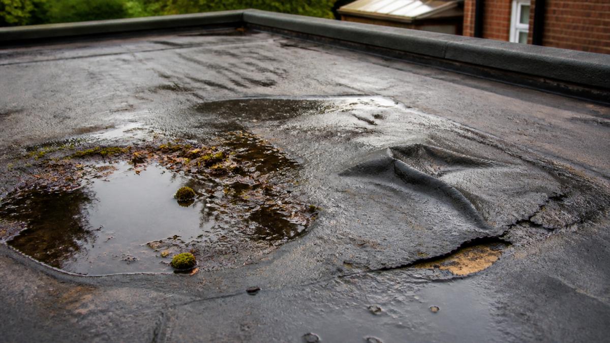 5 Common Flat Roof Problems in UK Homes
