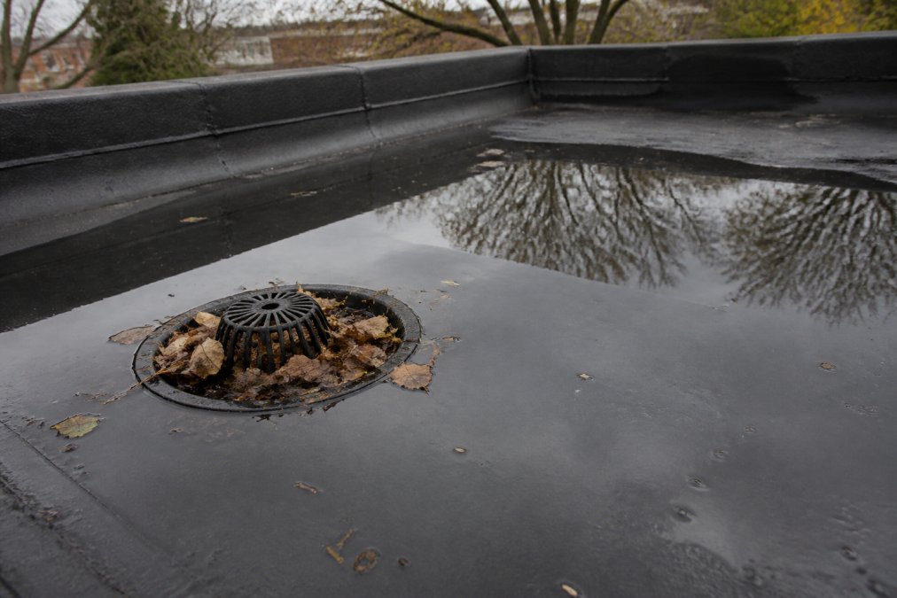 Standing water pooling on a flat roof around a drain clogged with leaves, highlighting common flat roof problems.