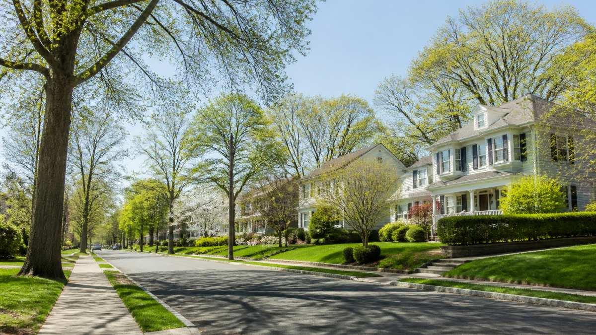 Tree-lined residential street with well-maintained homes, manicured lawns, and minimal traffic, showing peaceful suburban character families seek