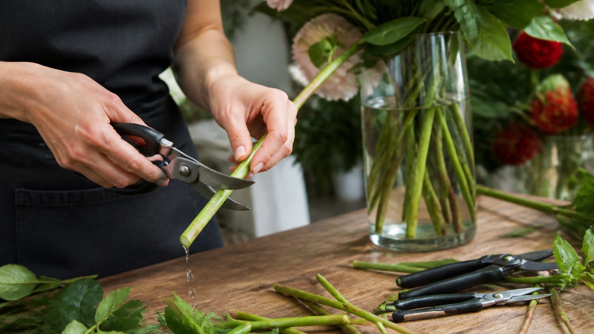 Florist using sharp scissors to cut a flower stem at a 45-degree angle over a clear vase filled with water
