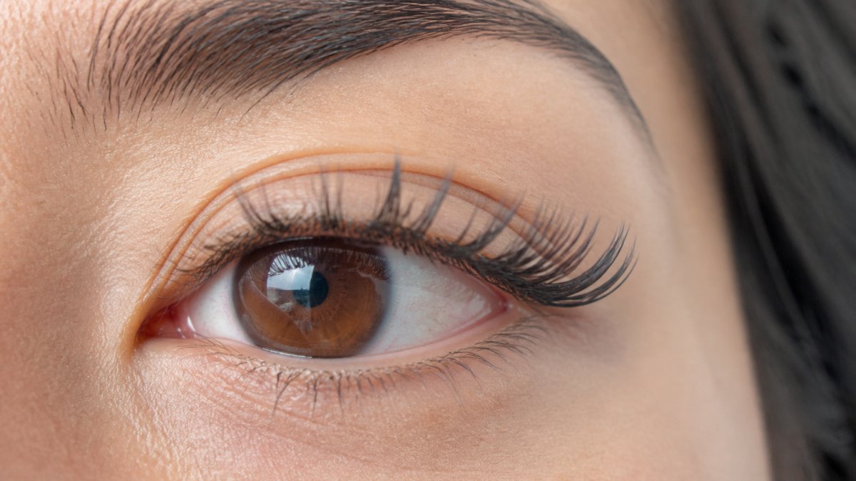 Diagram illustrating visible gaps along the lash line needing a lash fill to restore fullness.