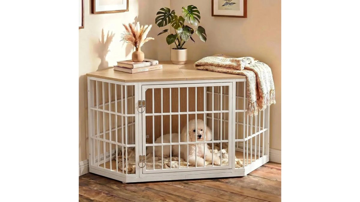 52-Inch Furniture-Style Dog Crate End Table with Double Latches