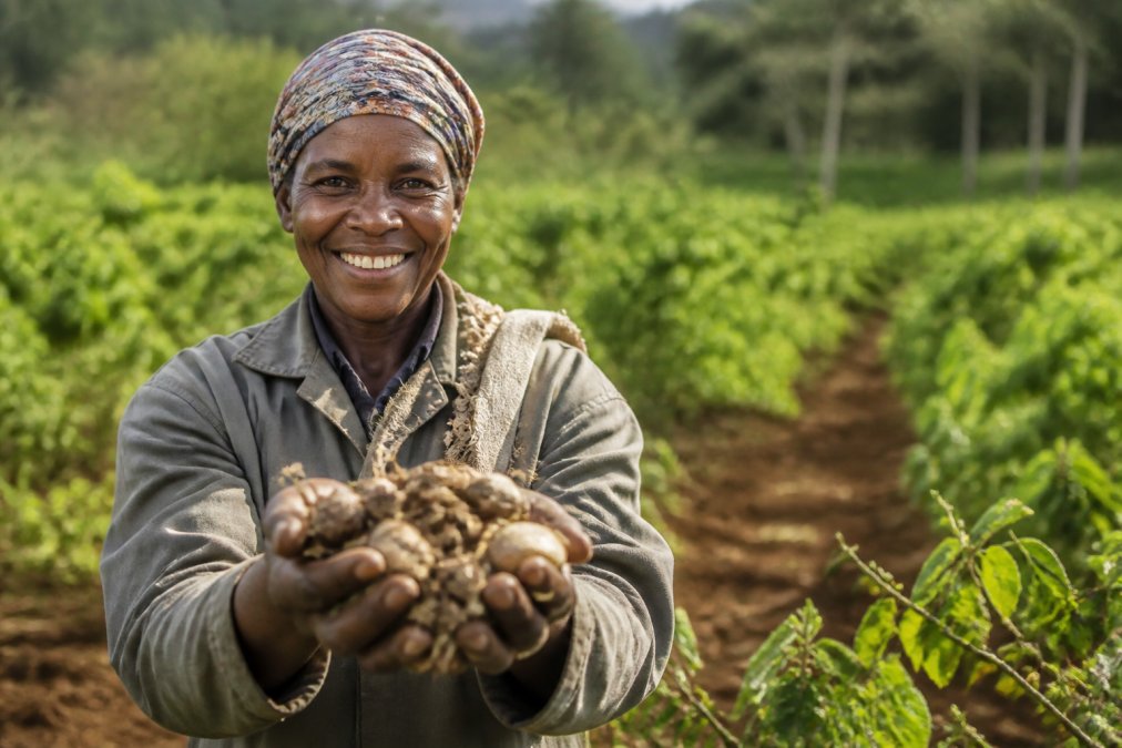 A farmer holding a handful of freshly harvested plant materials in a sunlit field, smiling, with rows of crops in the background