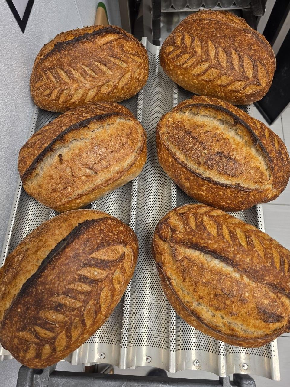 7 Best Artisanal Bakeries in Pleasanton to Try
