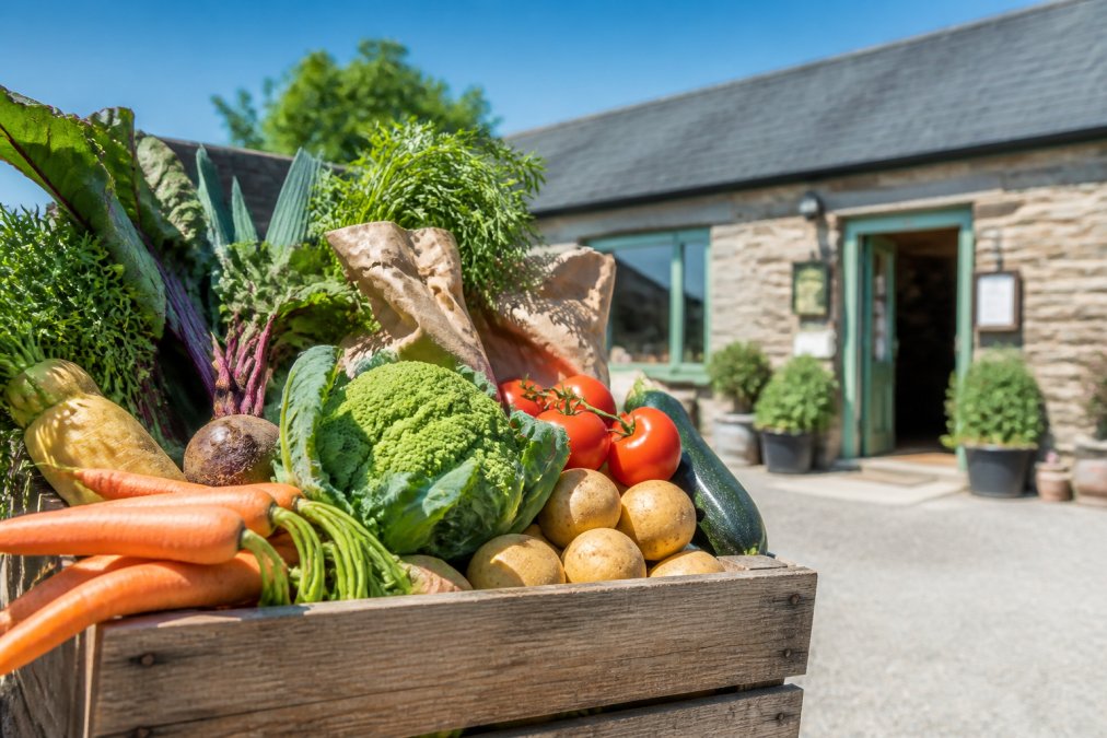 Rustic wooden crate filled with seasonal vegetables outside a sunny Devon farm shop, one of the 7 best farm shops in South