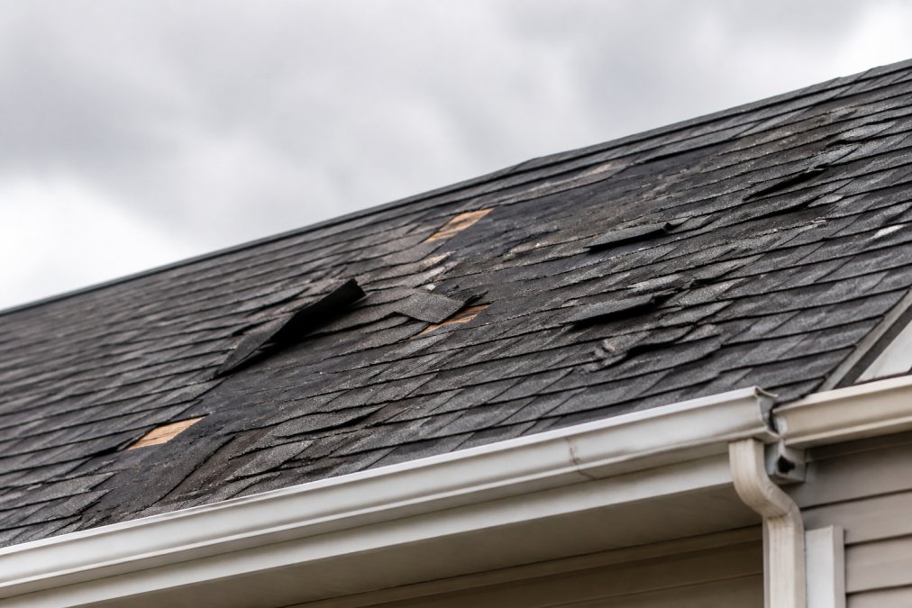 Close-up of residential roof shingles showing wind damage with lifted edges and missing sections on a home exterior during overcast conditions
