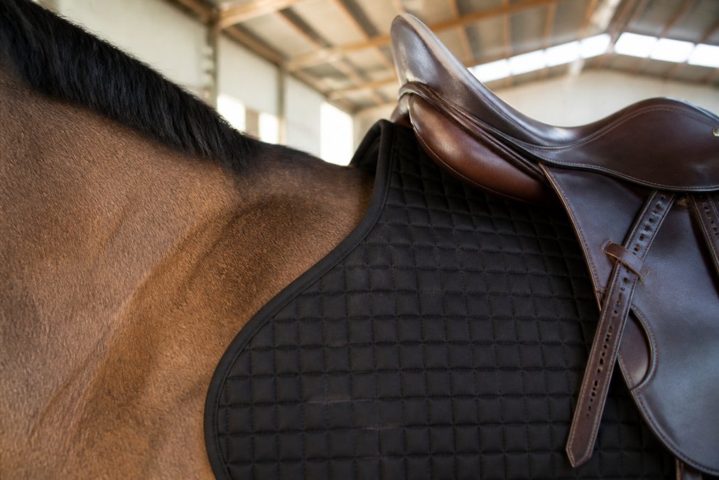 Close-up of a horse's wither and shoulder area with a properly fitted saddle pad showing clear spine clearance and even weight distribution across the back
