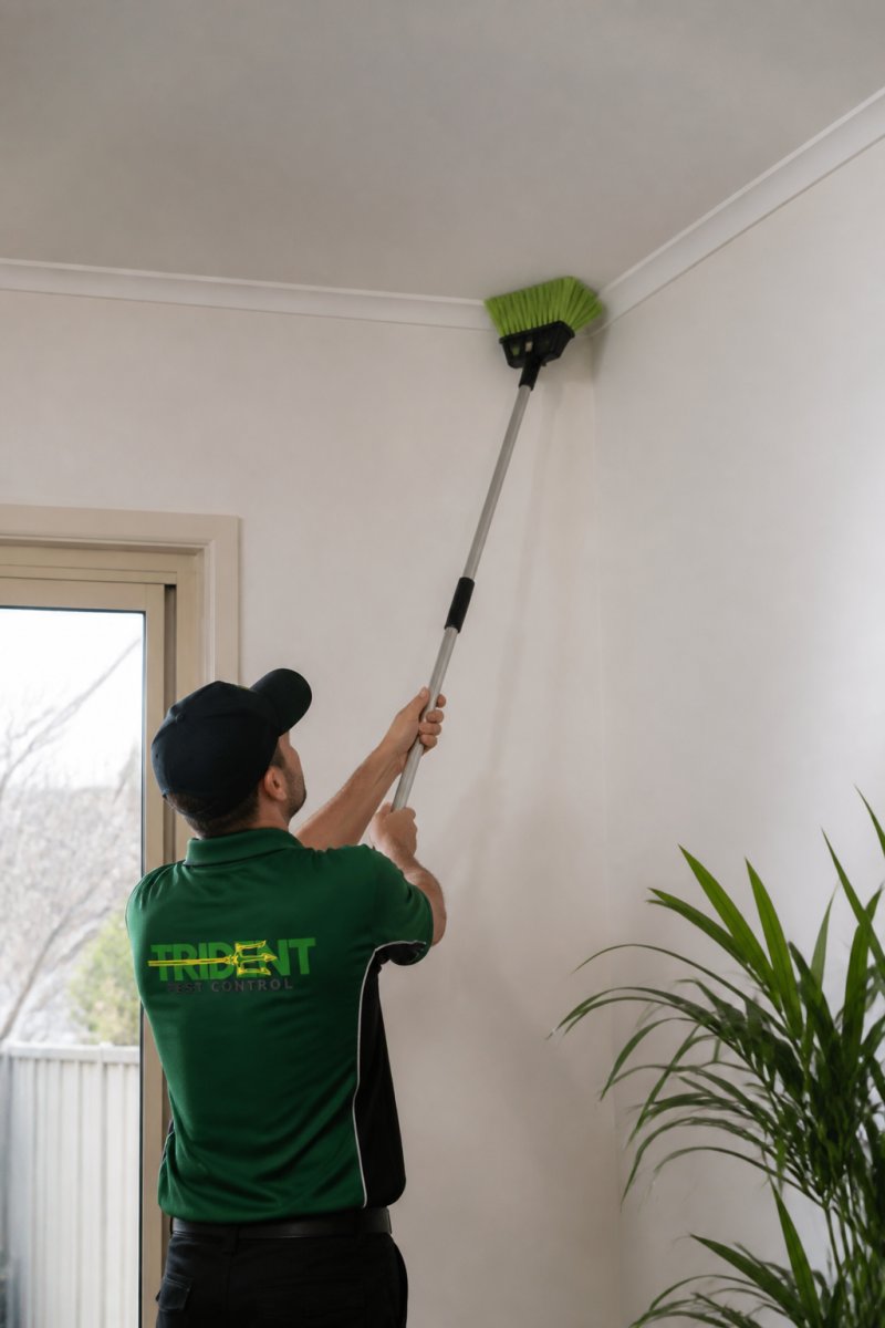 A person using a long-handled cobweb broom to clear webs from a high ceiling corner in a bright Australian home