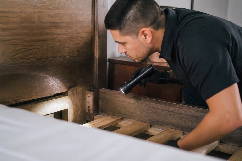 Person using a flashlight to inspect wooden bed frame crevices for bed bug hiding spots and fecal stains.