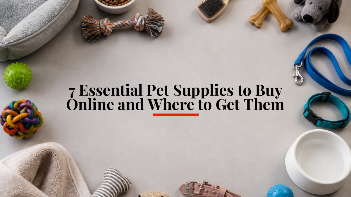 7 Essential Pet Supplies to Buy Online and Where to Get Them