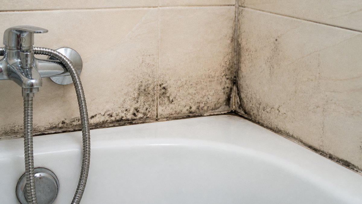 7 Hotel Bathroom Mistakes That Cause Mould and Mildew