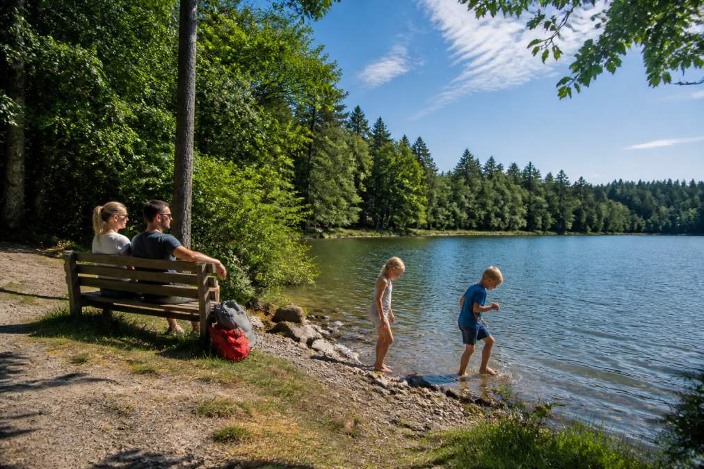 Rodina si jednoho letního dne odpočívá u jezera Edlesberger See při jedné ze 7 přírodních aktivit pro děti ve Waldviertelu.