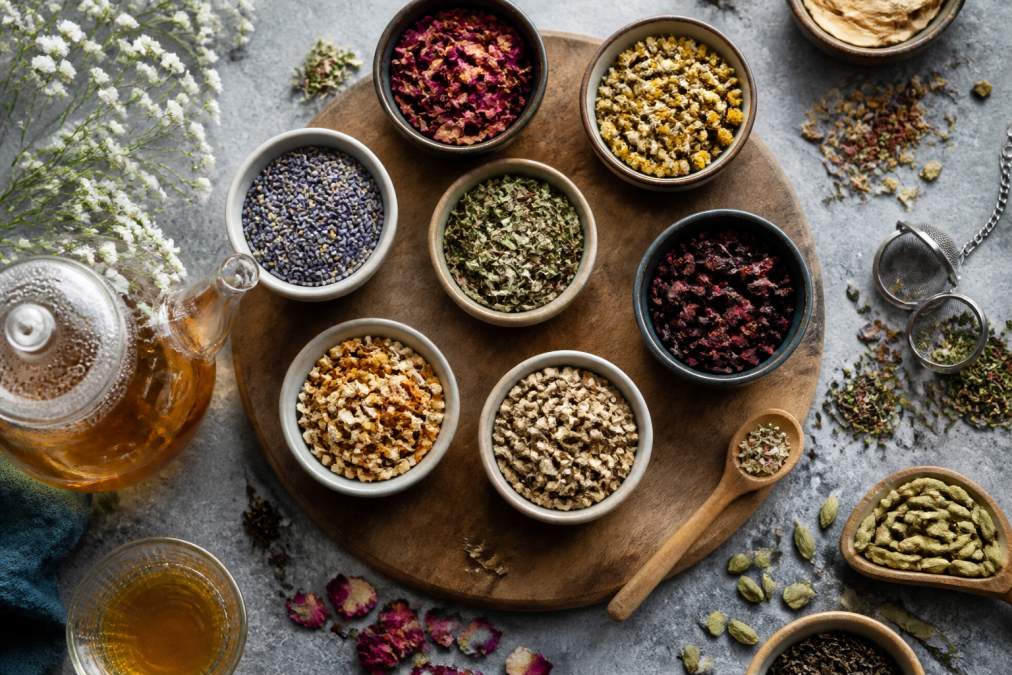 7 Premium Herbal Tea Blends for Focus in 2026