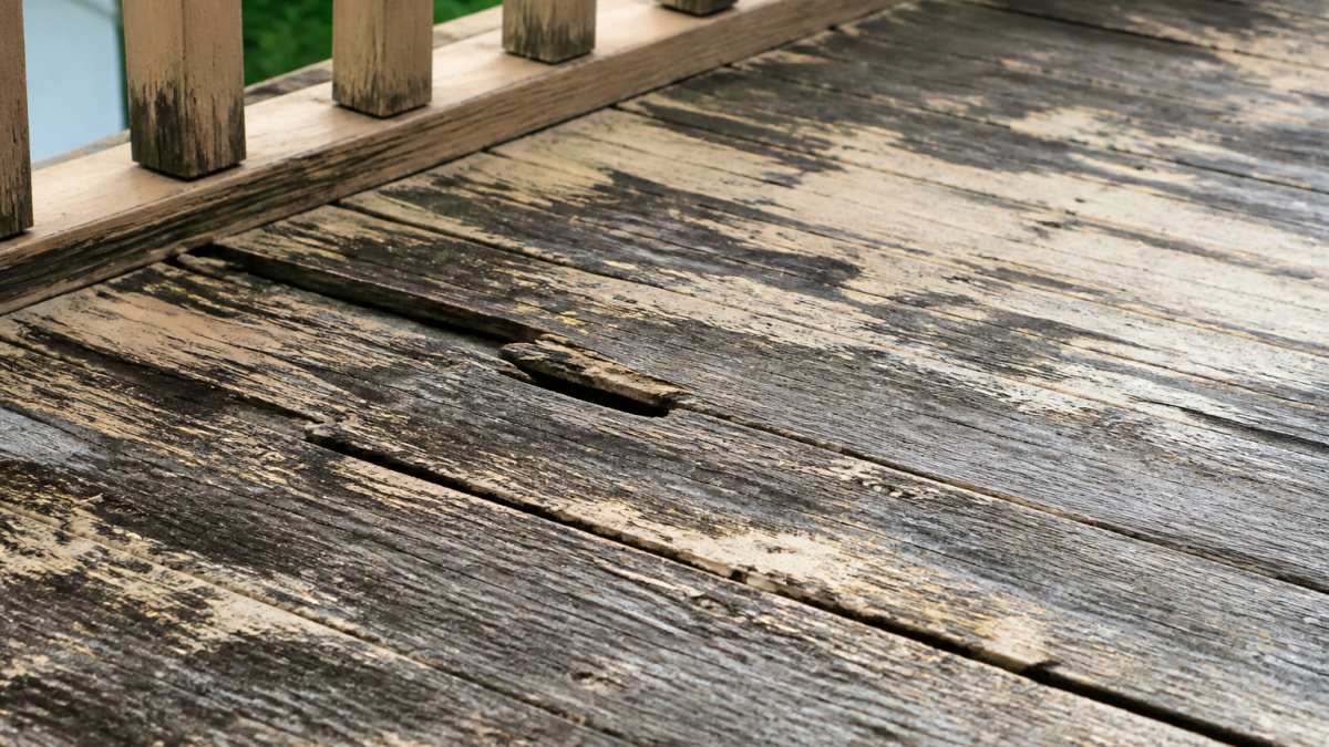 Close-up of weathered wooden balcony boards showing dark patches, peeling paint, and visible surface decay in natural daylight