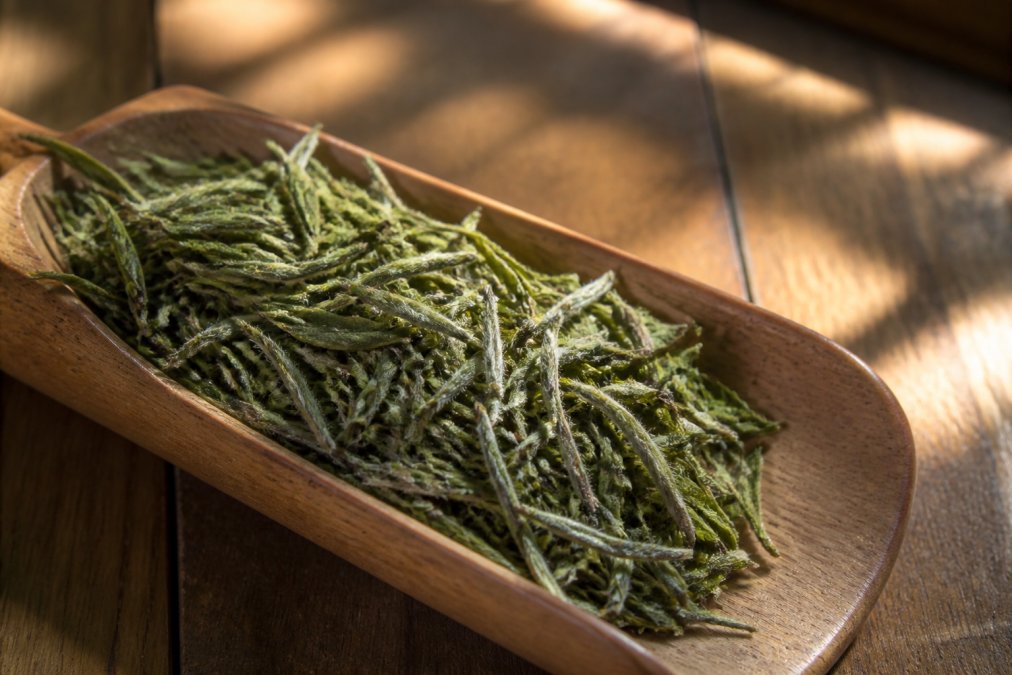 Close-up of vibrant green loose leaf tea resting in a wooden scoop, with whole intact leaves and visible silver downy buds under soft natural window light
