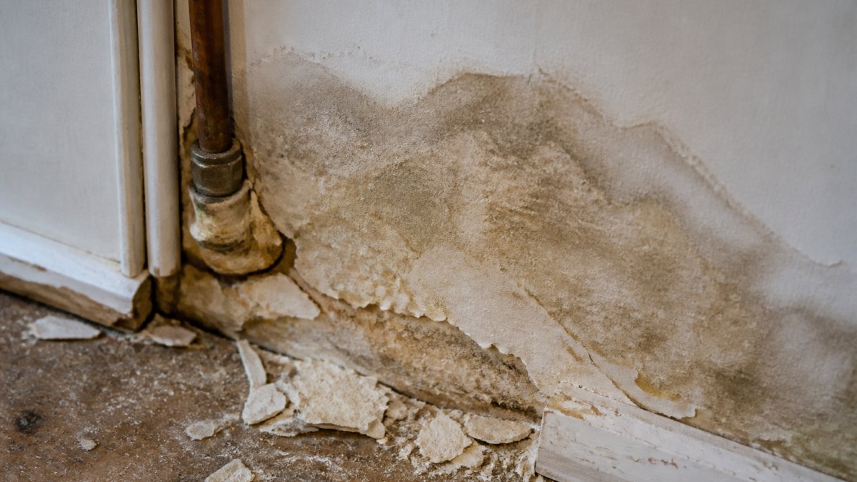 Close-up of water stains and dampness on an interior wall near a pipe joint, showing discolouration and soft plaster with visible moisture marks