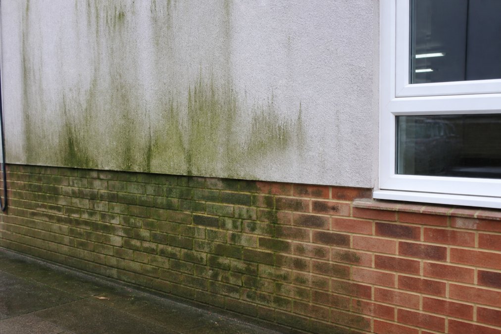 Close-up of commercial building exterior wall showing green algae and moss patches on brick and render, with contrasting clean sections visible