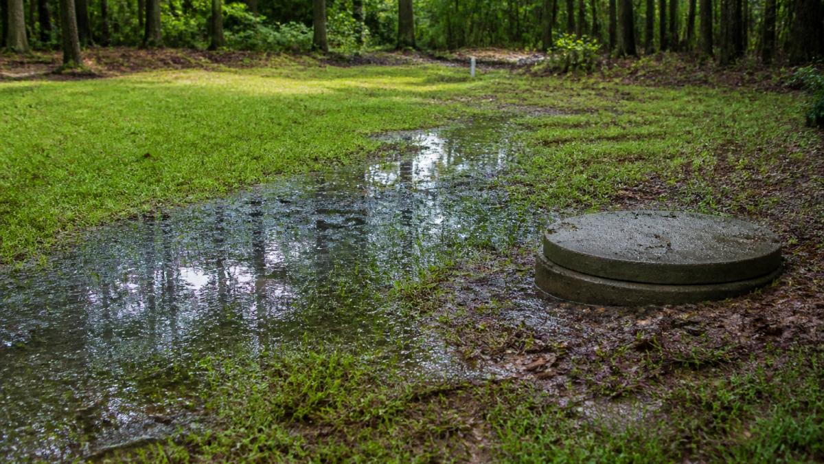 7 Warning Signs of Septic System Failure to Watch For