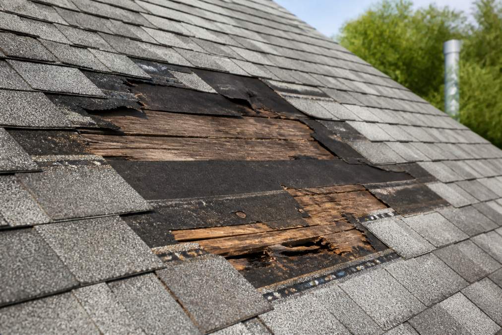 Close-up of roof section showing multiple missing asphalt shingles with exposed dark underlayment and weathered wood decking visible after severe wind damage, taken in bright daylight