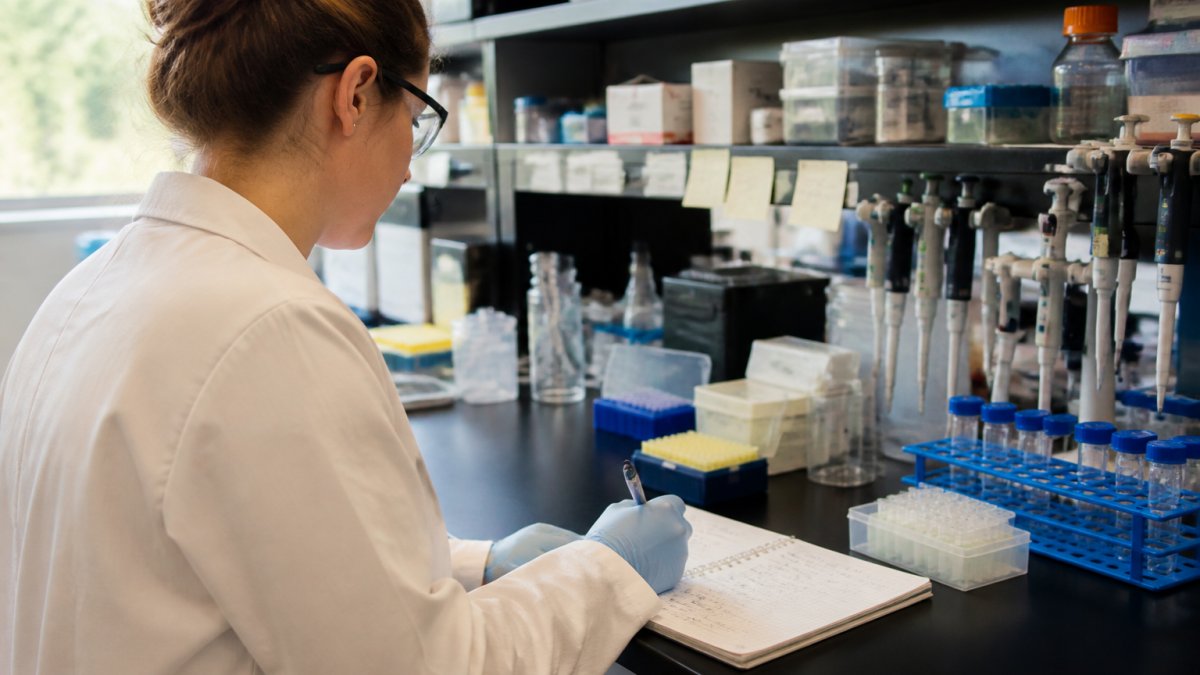 Researcher analyzing a peptide bioavailability concentration-time curve on a lab computer screen