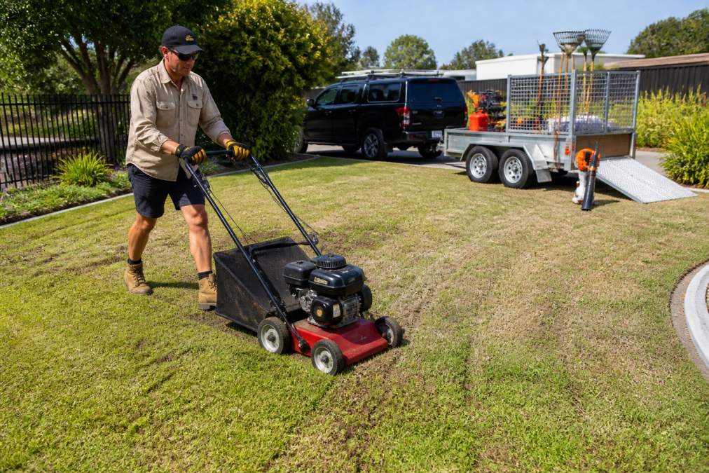 A homeowner in a suburban backyard guiding a petrol-powered dethatcher machine across a lawn, with a trailer and other lawn care equipment visible in the background