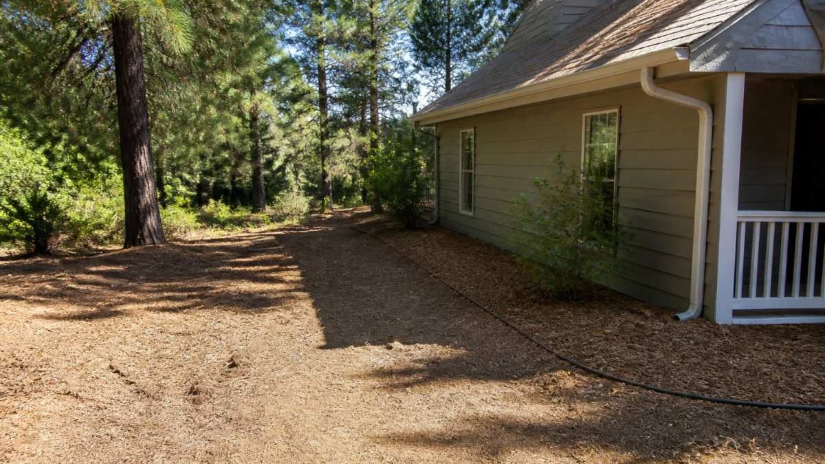 Wide-angle view of a residential home with cleared vegetation, trimmed trees at safe distance, cleared gutters visible, and mulched ground around the foundation
