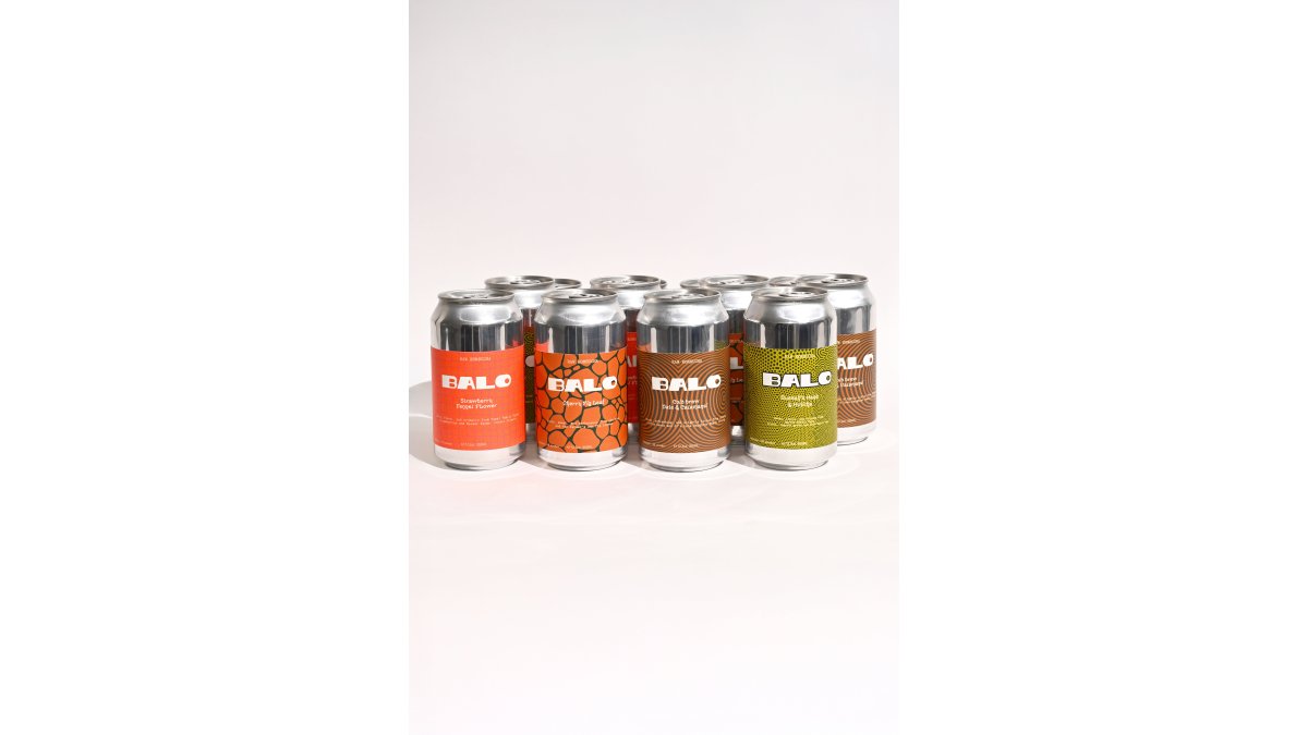 8- pack mixed raw kombucha