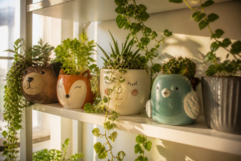 A bright living room shelf displaying a collection of quirky characterful plant pots in different shapes and colours, with trailing ivy and a small cactus, soft afternoon light through a nearby window