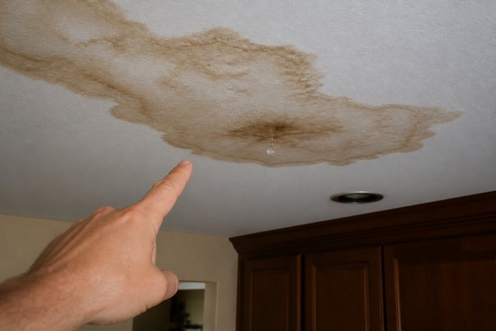 Close-up of a homeowner's hand pointing at a brown water stain spreading across a drywall ceiling, with a small drip forming at the center
