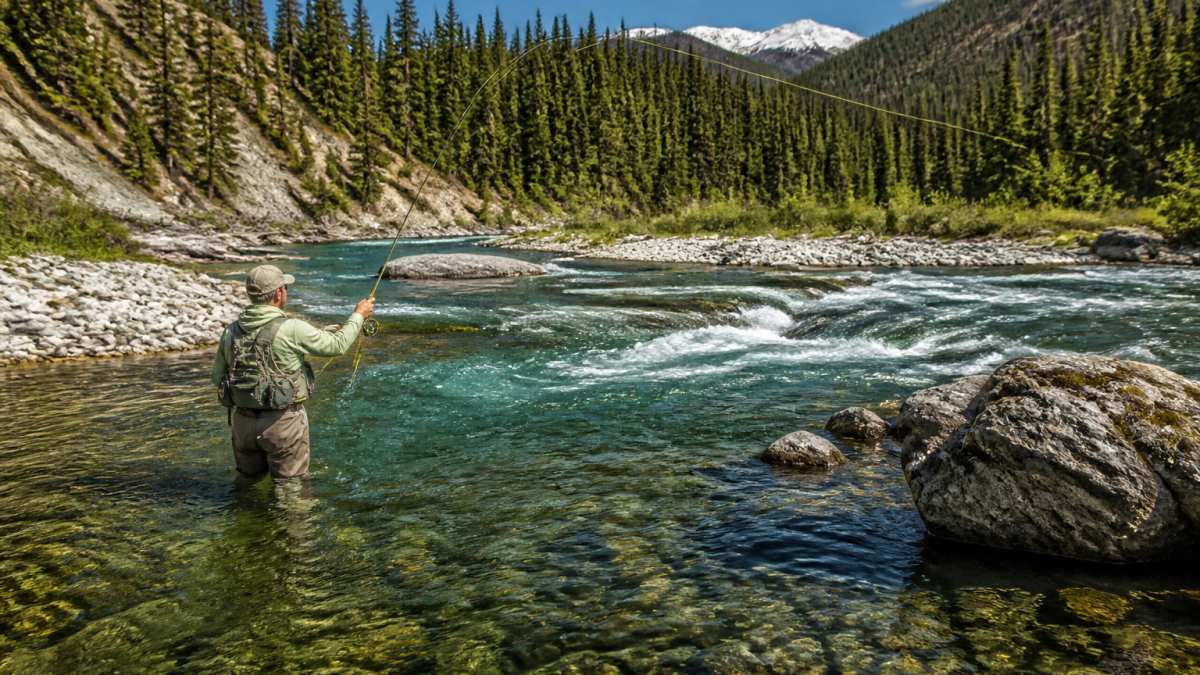 Angler fly fishing in an Alberta river, deciding between floating line vs sink tip for the deep seam.