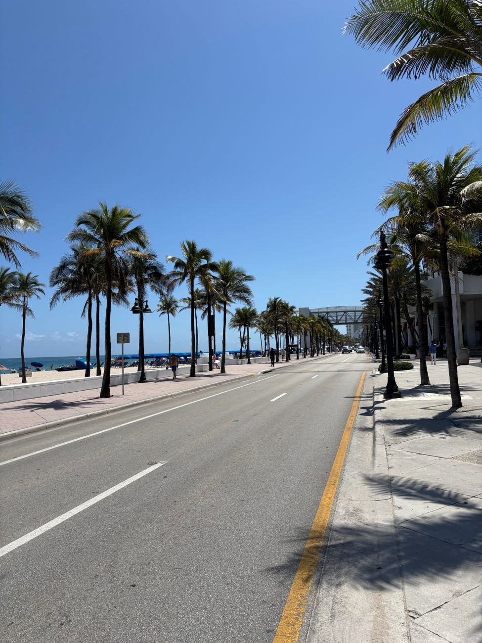 Fort Lauderdale Homes: A Buyer's Guide to the Market