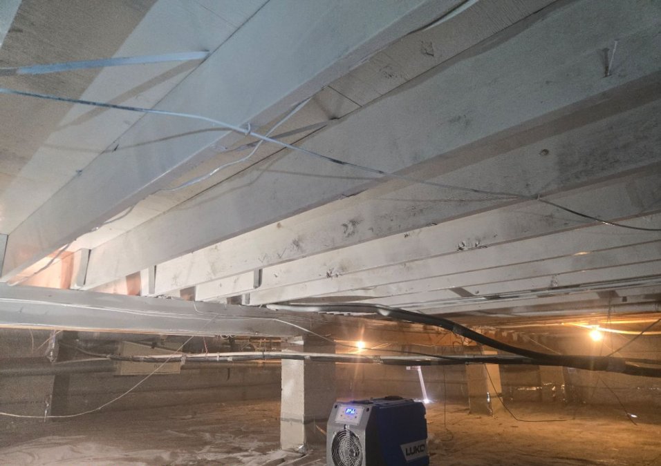 Crawlspace Mold Removal: A Step-by-Step Safety Guide