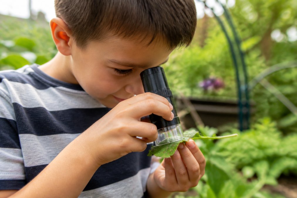 Un enfant de six ans utilise son microscope enfant robuste pour observer une feuille dans son jardin.