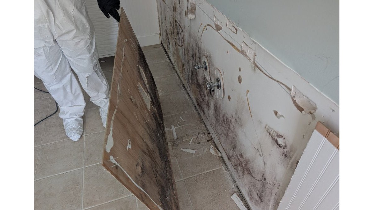Mold Remediation Near Me: What to Expect in 2026