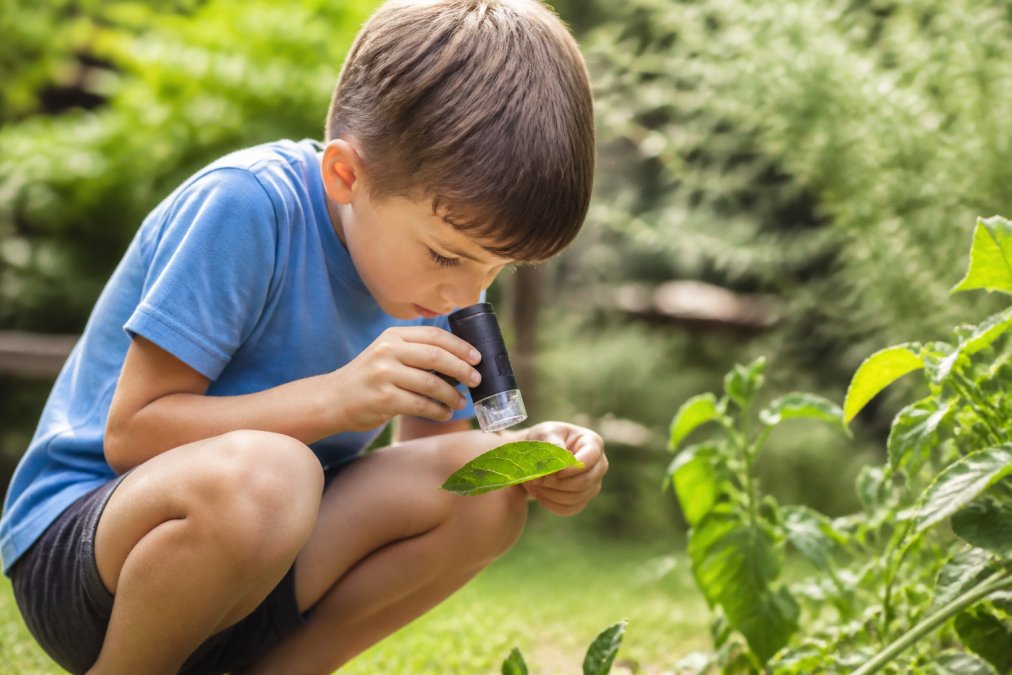 Un enfant d'environ 8 ans, accroupi dans un jardin, utilise un microscope portable compact pour observer une feuille, expression de curiosité concentrée, lumière naturelle, arrière-plan de verdure flou