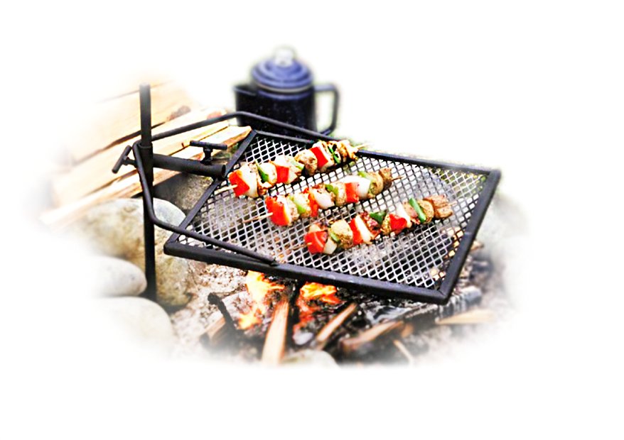 Adjustagrill Grill Copy Copy
